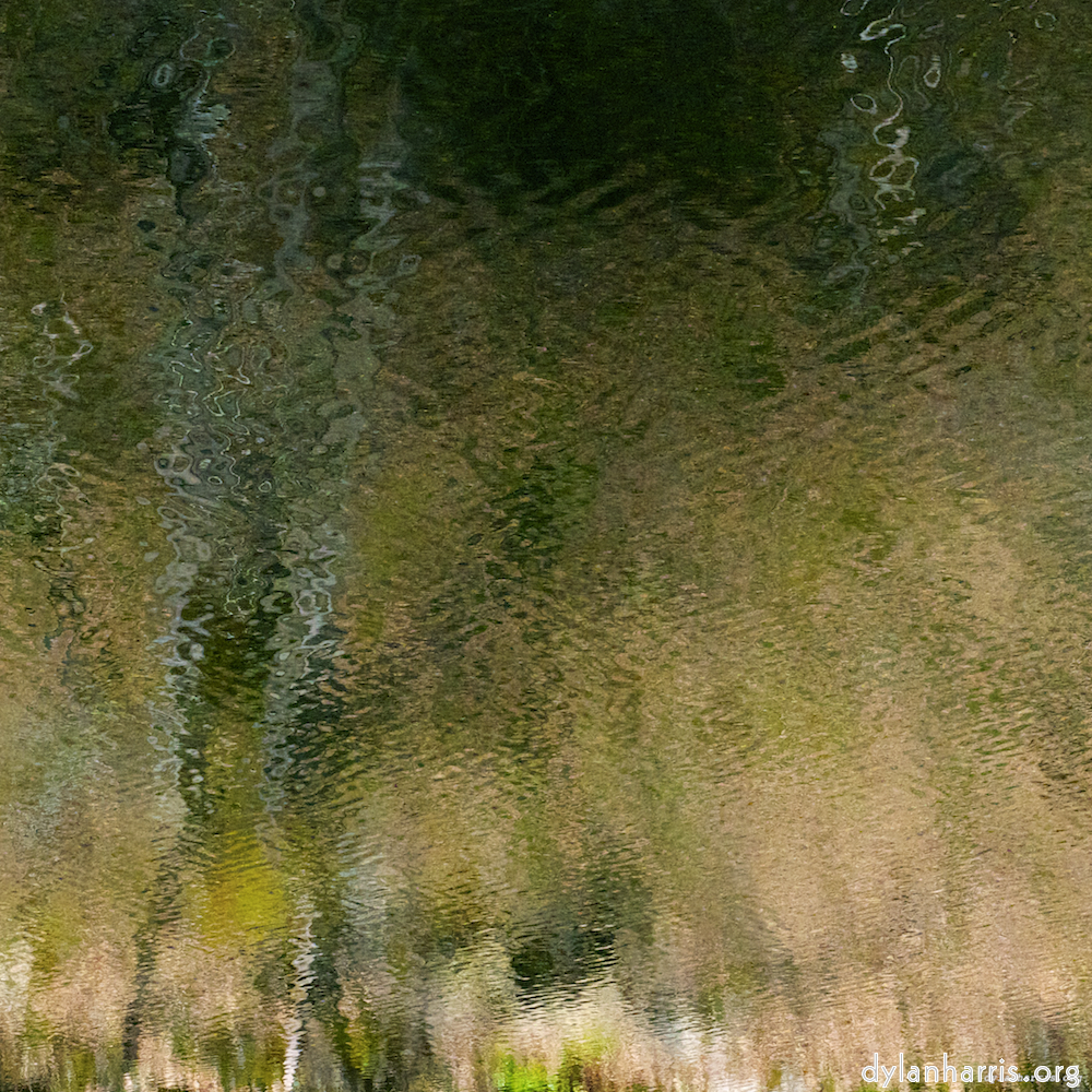 image: This is &lsquo;wood (xv) 4&rsquo;.