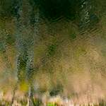 image: Image from the photoset &lsquo;wood (xv)&rsquo;.