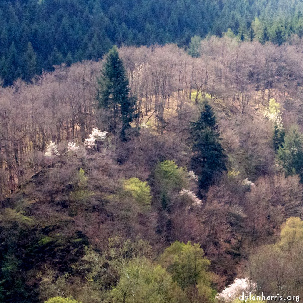 image: This is &lsquo;luxembourg (viii) 2&rsquo;.