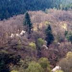 image: Image from the photoset &lsquo;luxembourg (viii)&rsquo;.