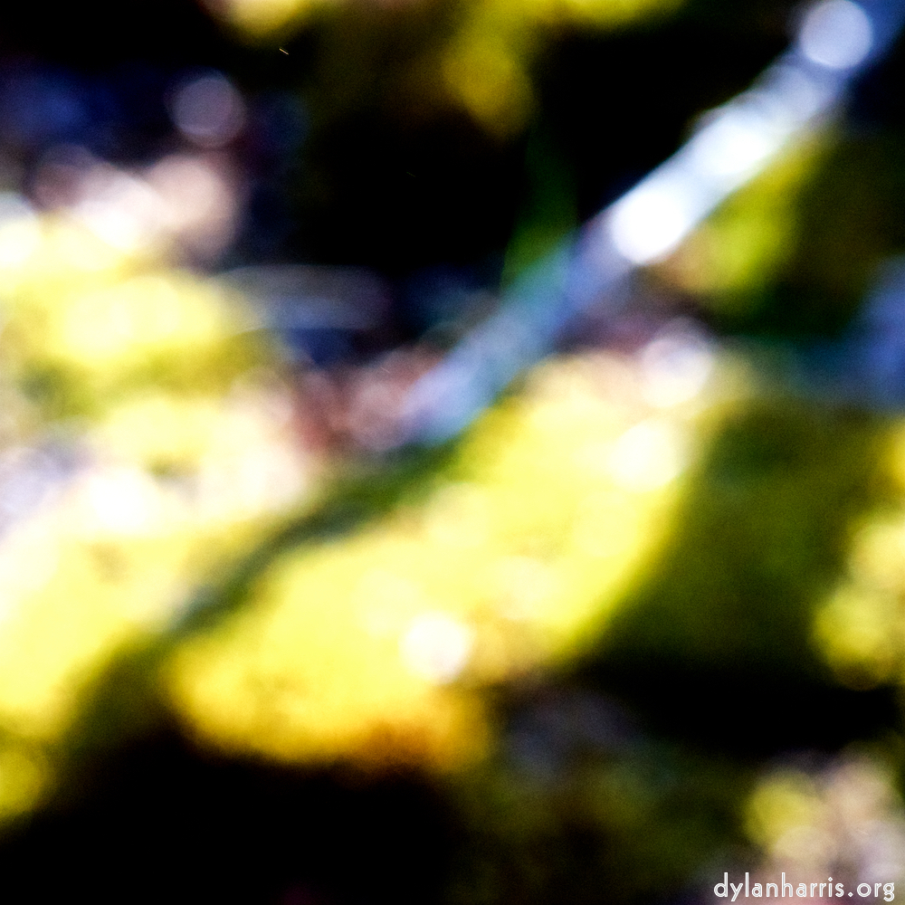 image: This is &lsquo;wood (xliii) 2&rsquo;.