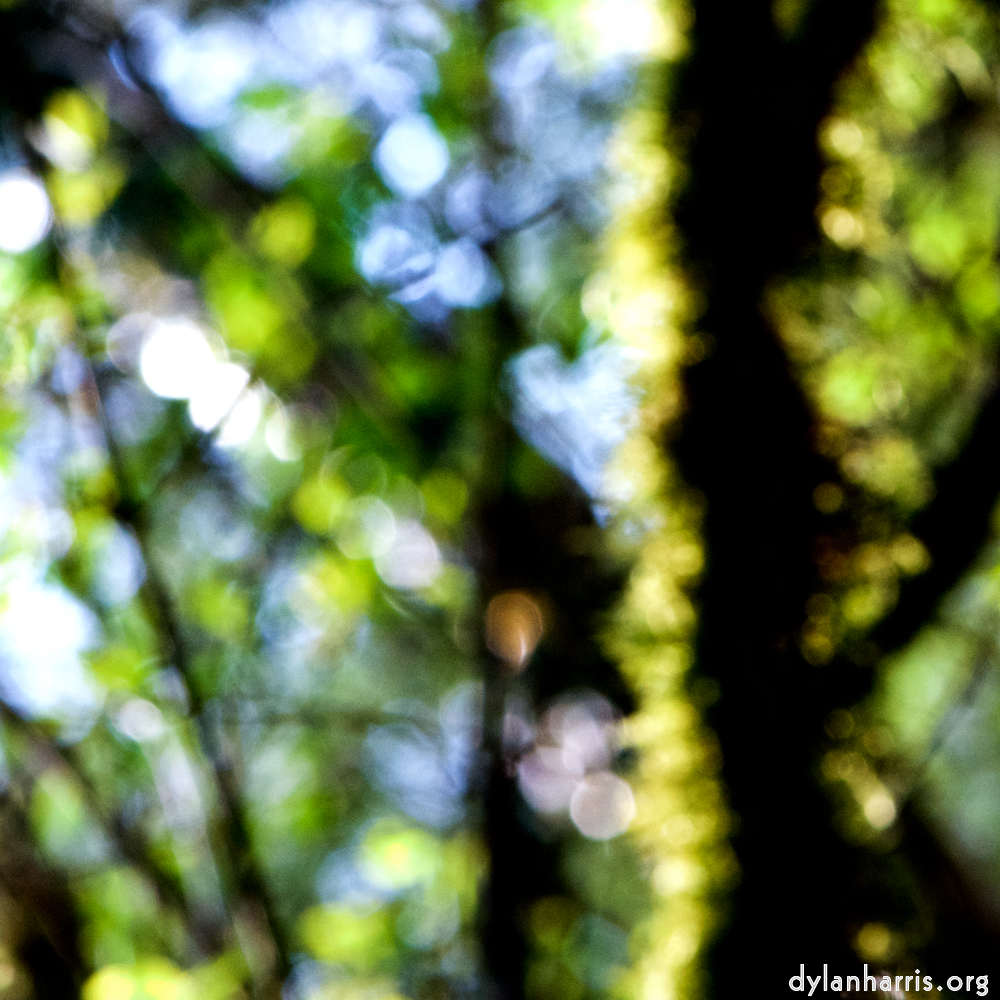 image: This is &lsquo;wood (xliii) 3&rsquo;.
