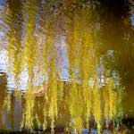 image: Image from the photoset &lsquo;eindhoven (i)&rsquo;.