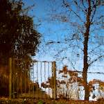 image: Image from the photoset &lsquo;eindhoven (i)&rsquo;.