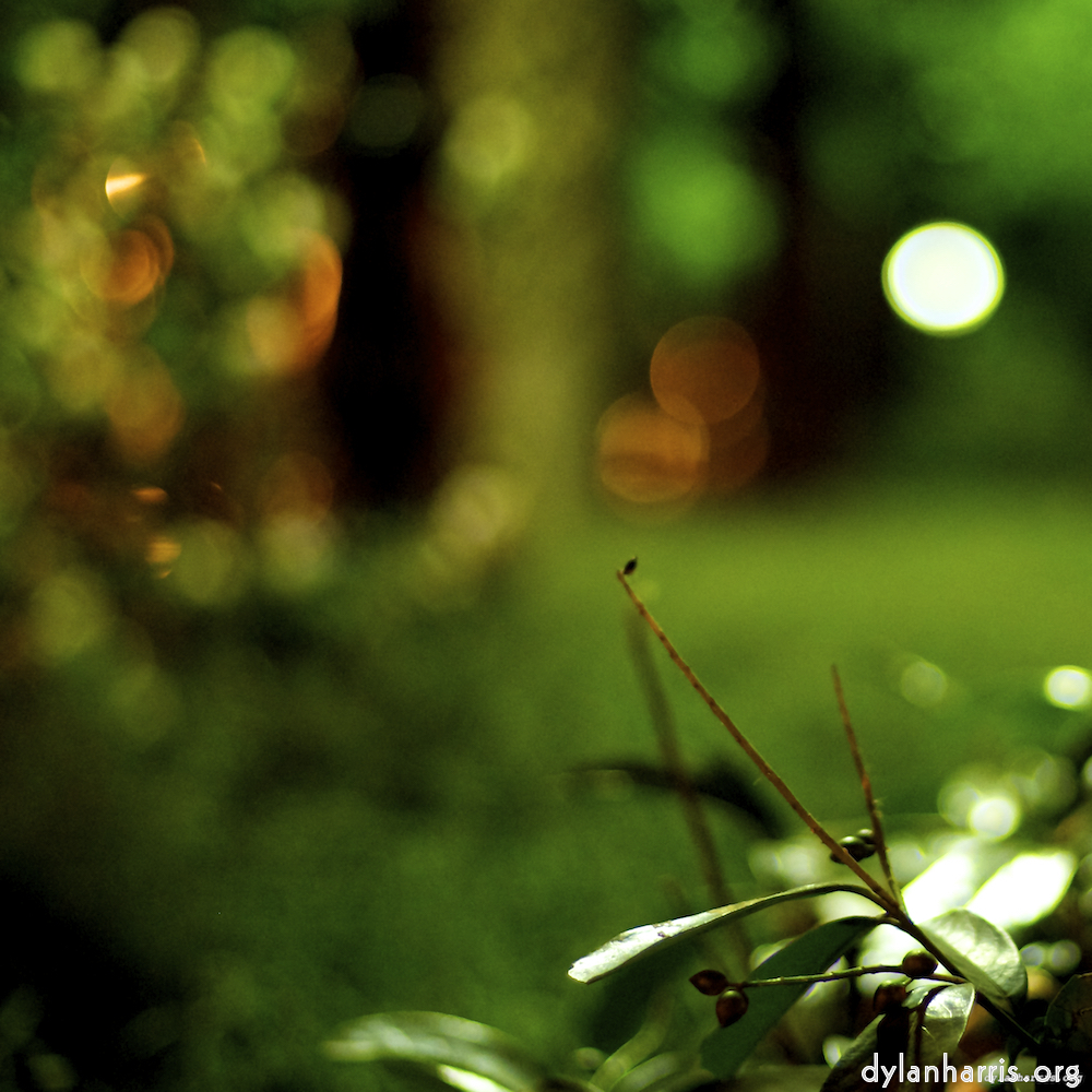 image: This is &lsquo;parc (vi) 4&rsquo;.