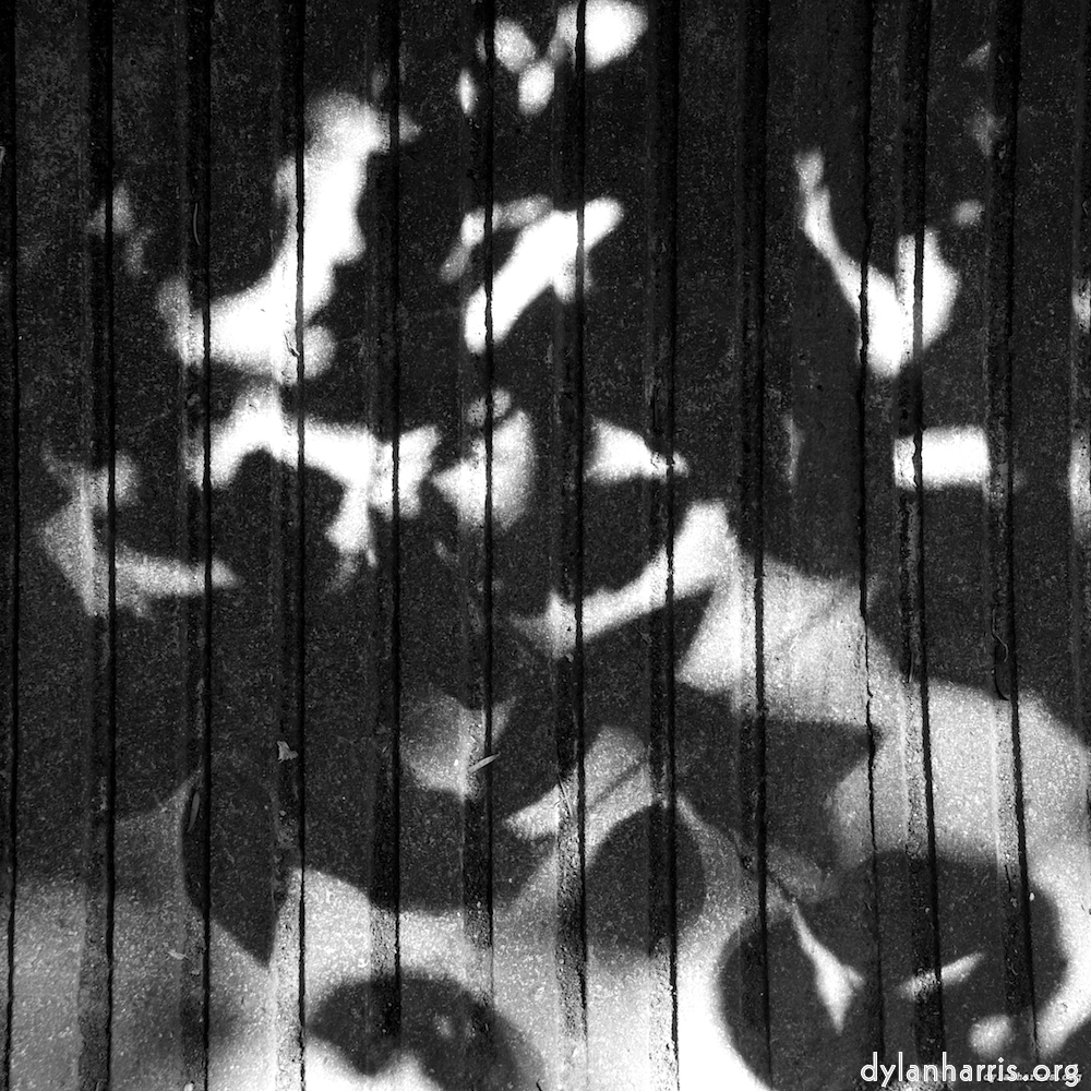 image: This is &lsquo;parc (vi) 5&rsquo;.