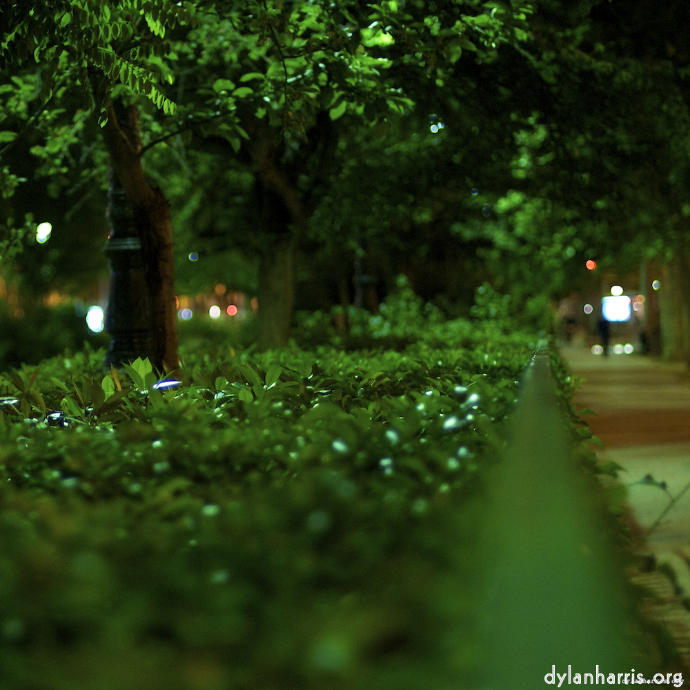 image: This is &lsquo;parc (vi) 6&rsquo;.