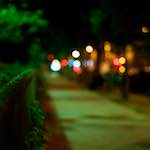 image: Image from the photoset &lsquo;parc (vi)&rsquo;.