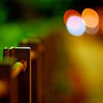 image: Image from the photoset &lsquo;parc (vi)&rsquo;.