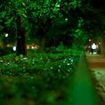 image: Image from the photoset &lsquo;parc (vi)&rsquo;.