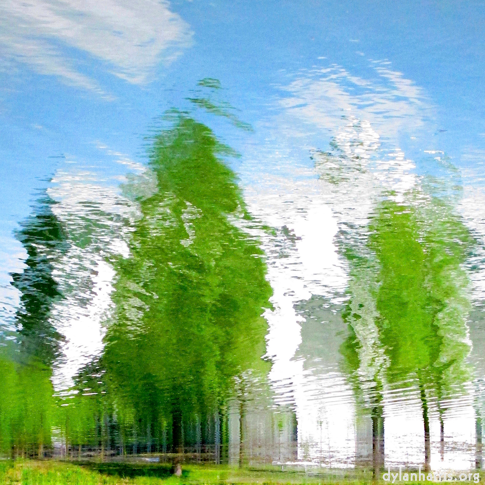 image: This is &lsquo;eindhoven (vi) 6&rsquo;.