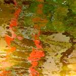 image: Image from the photoset &lsquo;amsterdam (iii)&rsquo;.
