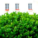image: Image from the photoset &lsquo;grund (ix)&rsquo;.
