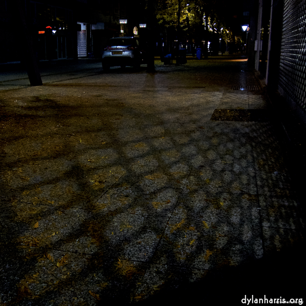 image: Image 'esch&ndash;sur&ndash;alzette (vii) 6', of daffodils.