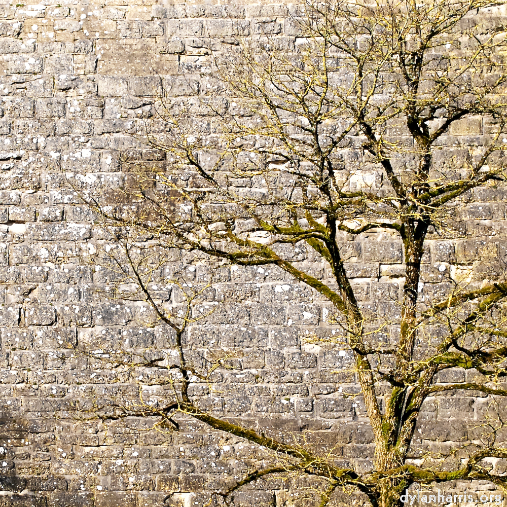 image: This is &lsquo;longwy (xv) 2&rsquo;.