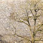 image: Image from the photoset &lsquo;longwy (xv)&rsquo;.