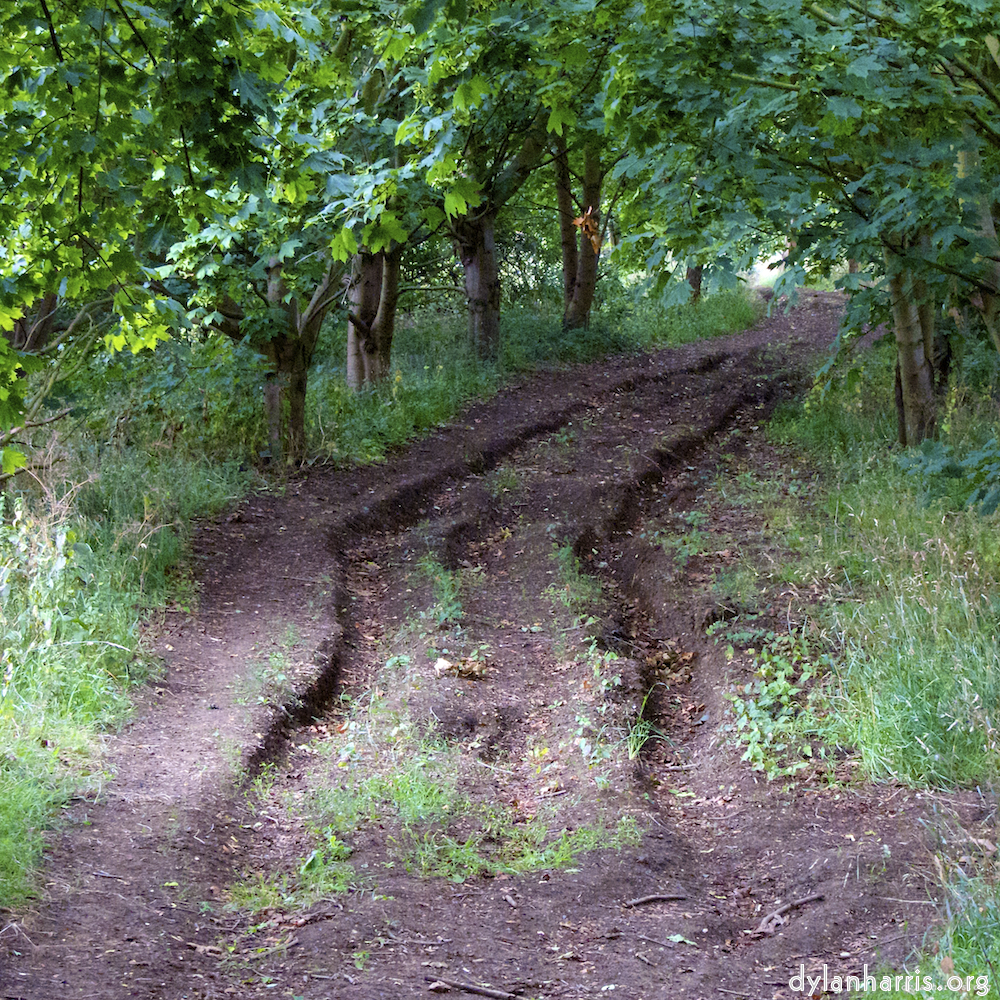 image: This is &lsquo;rushden park 3&rsquo;.