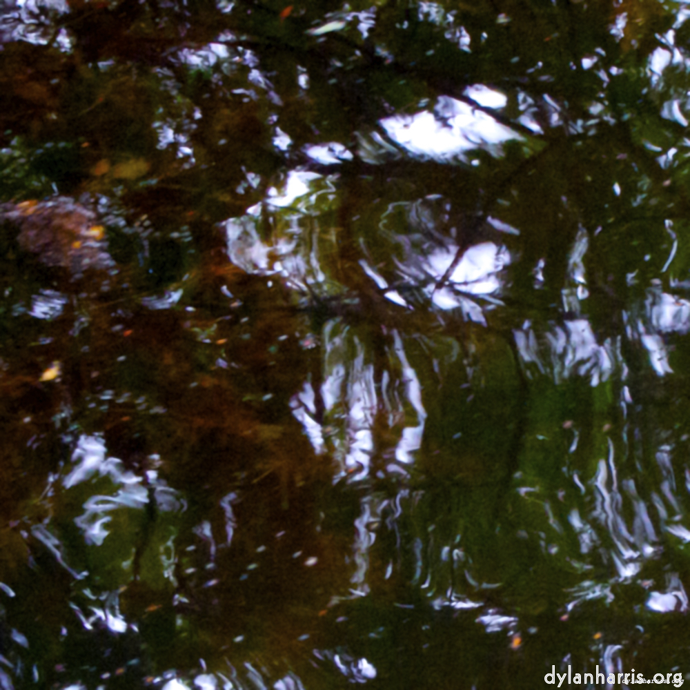 image: This is &lsquo;rushden park 5&rsquo;.