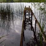 image: Image from the photoset &lsquo;rushden park&rsquo;.