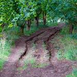 image: Image from the photoset &lsquo;rushden park&rsquo;.