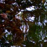 image: Image from the photoset &lsquo;rushden park&rsquo;.