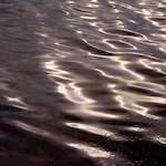 image: Image from the photoset &lsquo;rushden park&rsquo;.