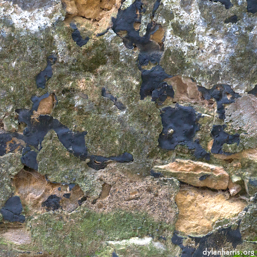 image: This is &lsquo;graveyard (i) 3&rsquo;.