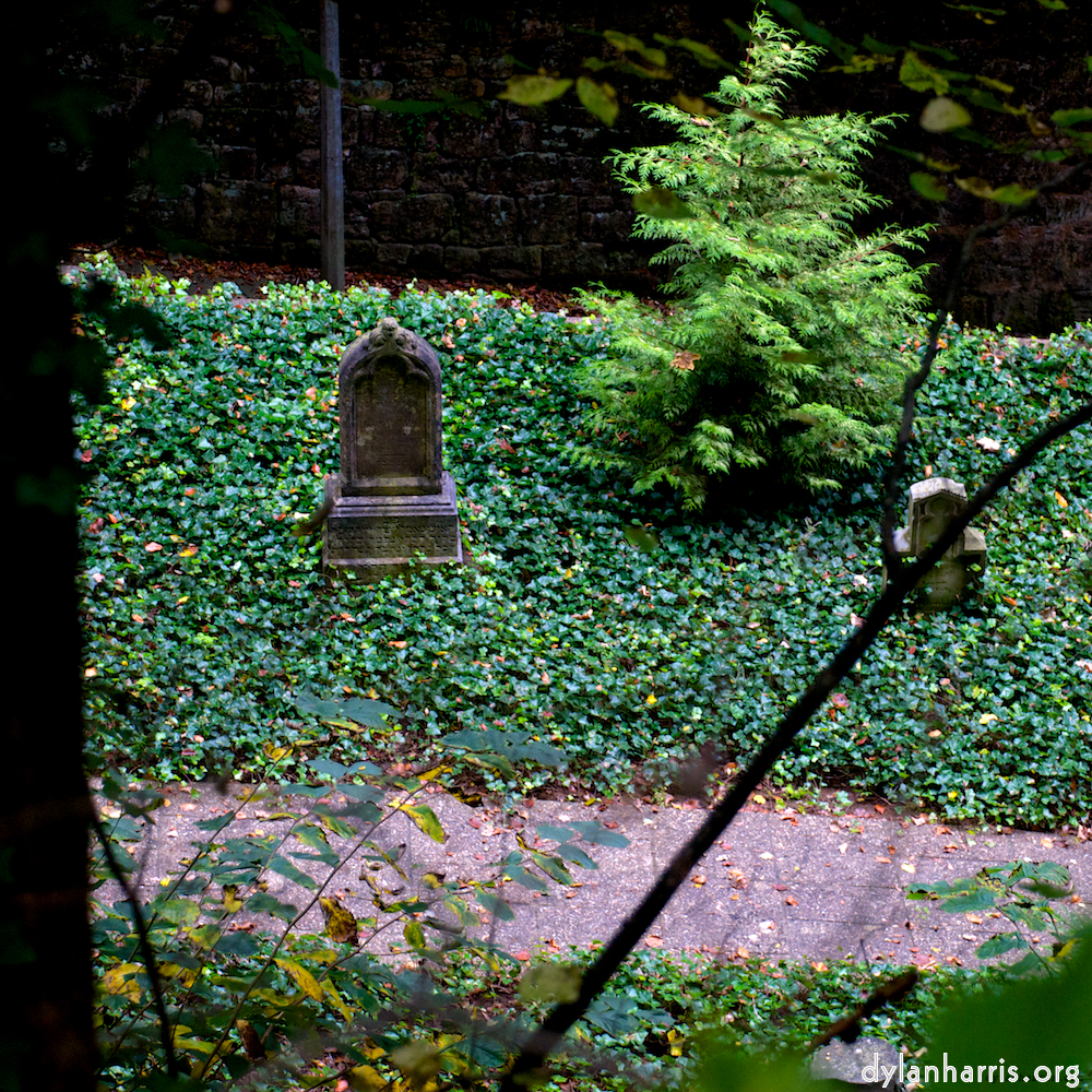 image: This is &lsquo;graveyard (i) 4&rsquo;.