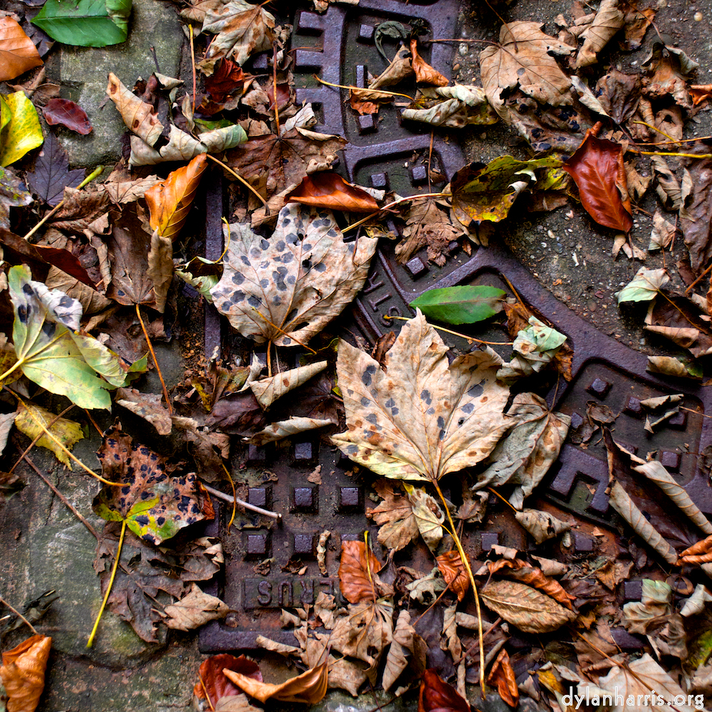 image: This is &lsquo;graveyard (i) 5&rsquo;.