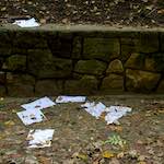 image: Image from the photoset &lsquo;graveyard (i)&rsquo;.