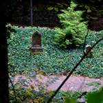 image: Image from the photoset &lsquo;graveyard (i)&rsquo;.