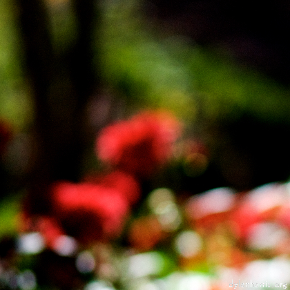 image: This is &lsquo;parc (xxxiii) 4&rsquo;.