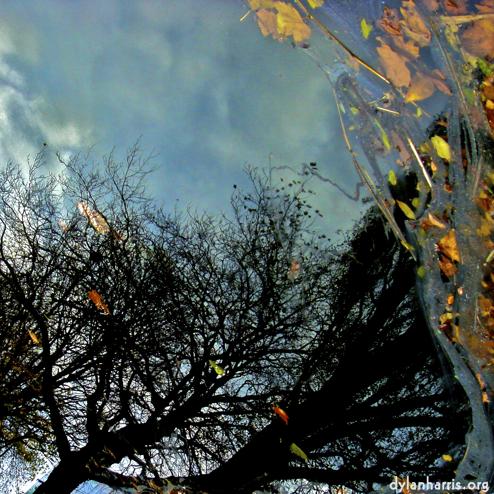 image: This is &lsquo;water (iv) 3&rsquo;.