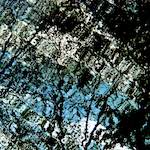 image: 2009 water  photoset