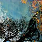 image: Image from the photoset &lsquo;water (iv)&rsquo;.