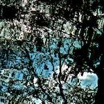 image: Image from the photoset &lsquo;water (iv)&rsquo;.