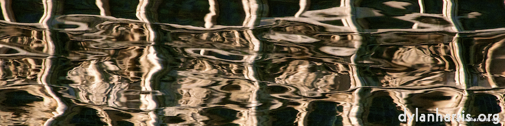 image: an image
