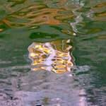 image: Image from the photoset &lsquo;ghent (ix)&rsquo;.