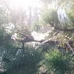 image: Image from the photoset &lsquo;L (x)&rsquo;.