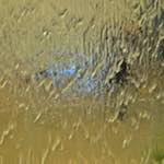 image: Image from the photoset &lsquo;la d&eacute;fense (ii)&rsquo;.