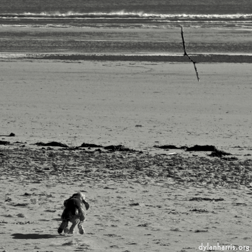 image: This is &lsquo;alnmouth (i) (RIP) 1&rsquo;.