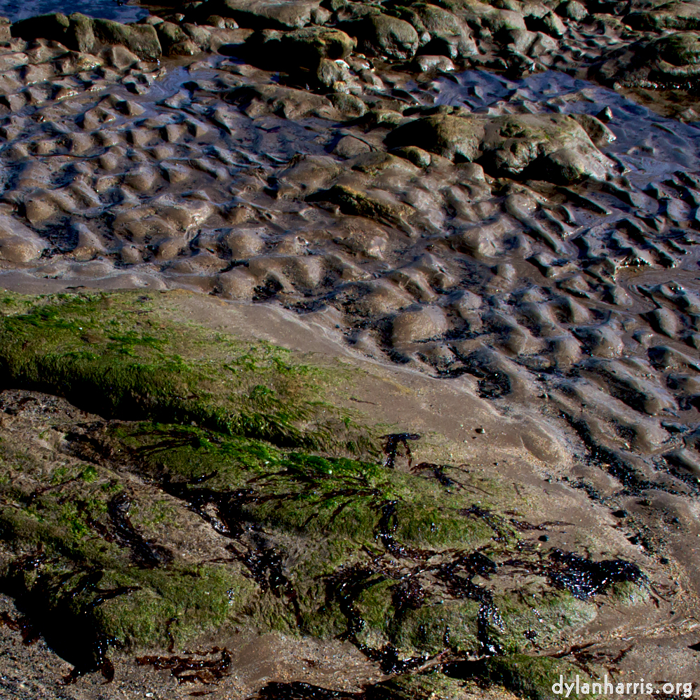 image: This is &lsquo;alnmouth (i) (RIP) 10&rsquo;.