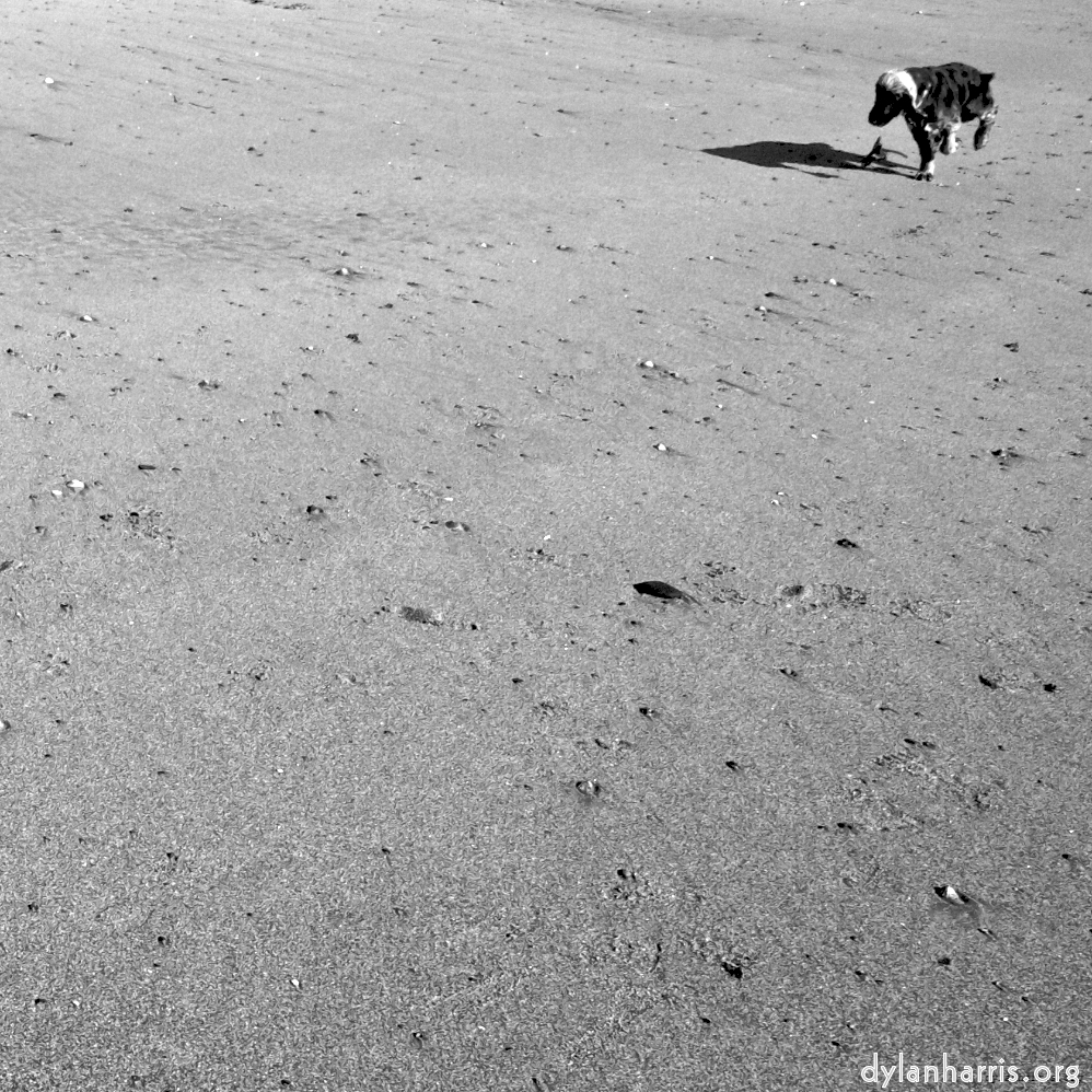 image: This is &lsquo;alnmouth (i) (RIP) 11&rsquo;.