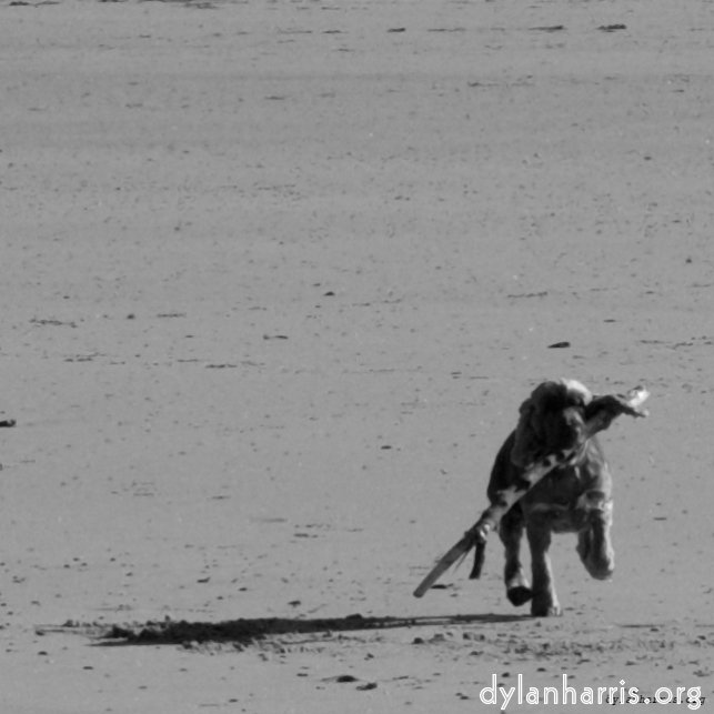 image: This is &lsquo;alnmouth (i) (RIP) 3&rsquo;.