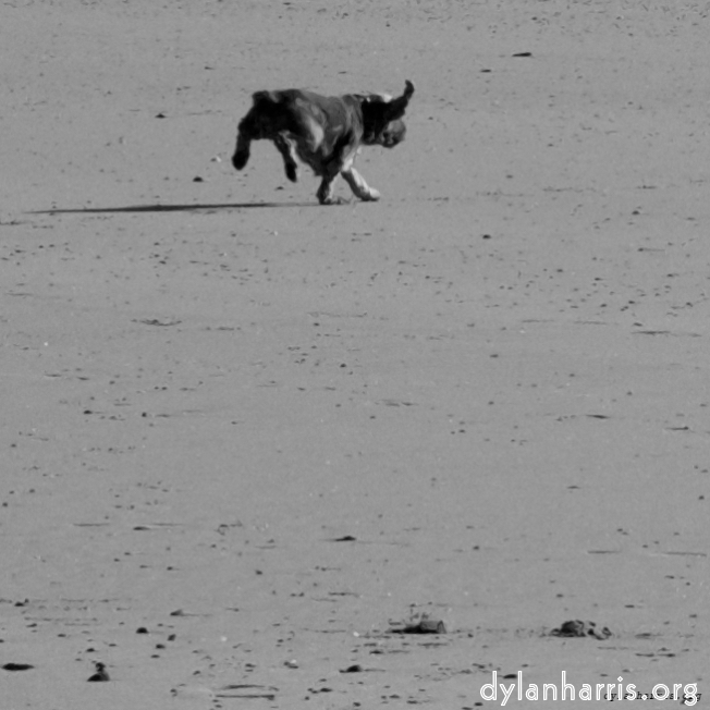 image: This is &lsquo;alnmouth (i) (RIP) 9&rsquo;.