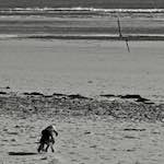 image: Image from the photoset &lsquo;alnmouth (i) (RIP)&rsquo;.