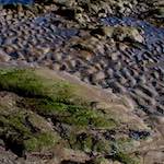 image: Image from the photoset &lsquo;alnmouth (i) (RIP)&rsquo;.