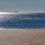 image: Image from the photoset &lsquo;alnmouth (i) (RIP)&rsquo;.