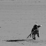 image: Image from the photoset &lsquo;alnmouth (i) (RIP)&rsquo;.