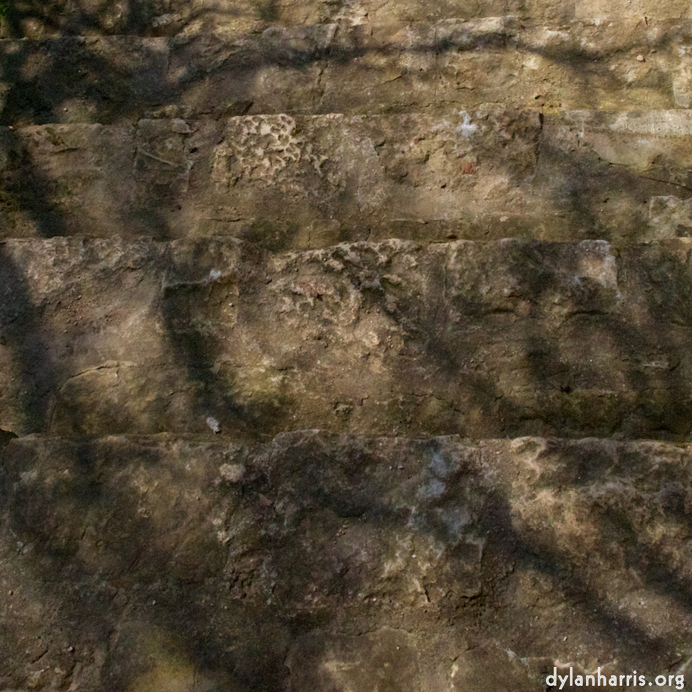 image: This is &lsquo;rham (iii) 5&rsquo;.